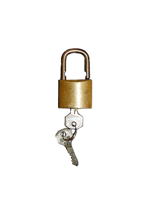 Pad Lock for Burglar Bars