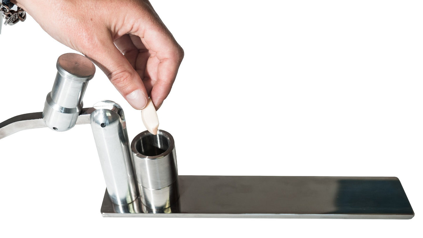 Garlic Press in Stainless Steel