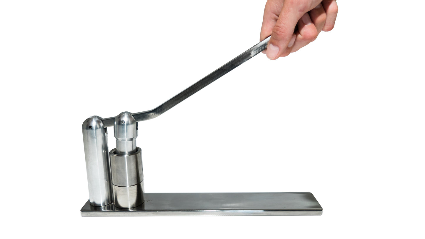 Garlic Press in Stainless Steel
